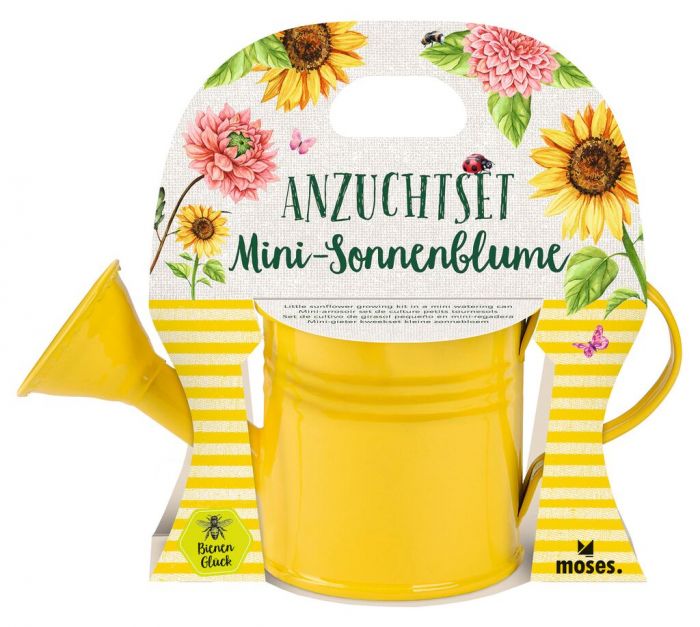 Blatt & Blüte Mini-Sonnenblume in Gießkanne